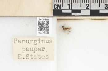 Media type: image;   Entomology 777481 Aspect: Labels